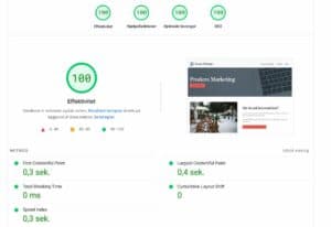 Billede af resultat fra en hastighedsoptimering test af prodero.dk